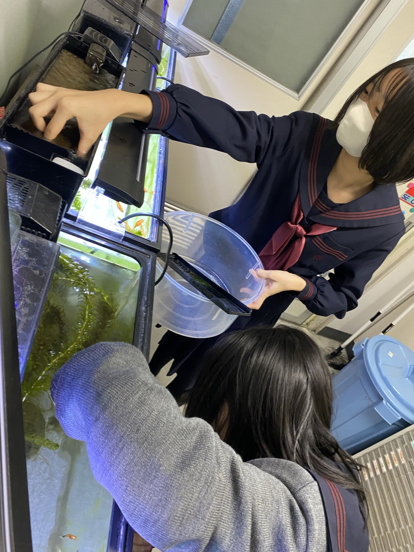 生物班②
